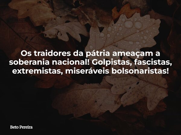 Os traidores da pátria ameaçam a soberania nacional! Golpistas, fascistas, extremistas, miseráveis bolsonaristas!... Frase de Beto Pereira.