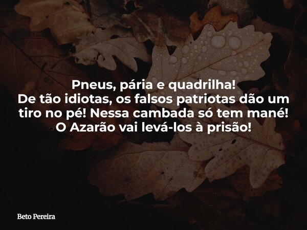 Pneus, pária e quadrilha! De tão idiotas, os falsos patriotas dão um tiro no pé! Nessa cambada só tem mané! O Azarão vai levá-los à prisão!... Frase de Beto Pereira.