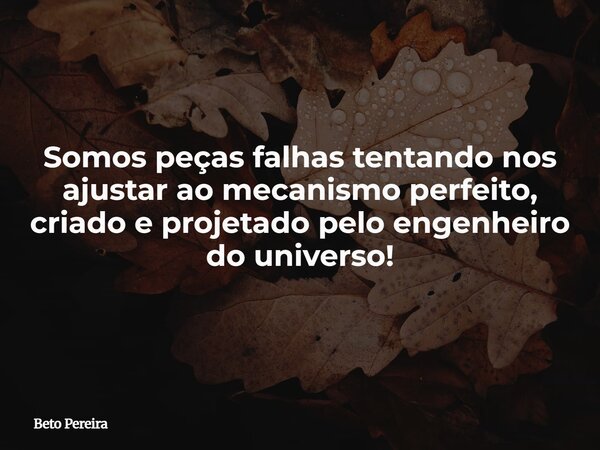 Somos peças falhas tentando nos ajustar ao mecanismo perfeito, criado e projetado pelo engenheiro do universo!⁠... Frase de Beto Pereira.
