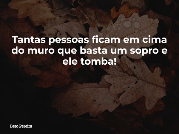 Tantas pessoas ficam em cima do muro que basta um sopro e ele tomba! ⁠... Frase de Beto Pereira.