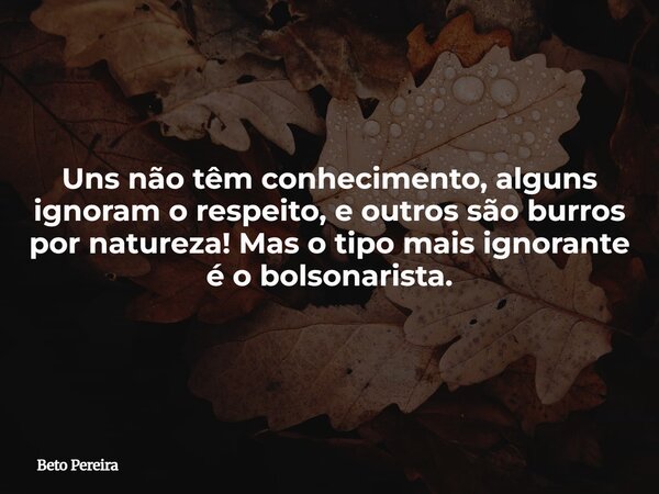 Uns não têm conhecimento, alguns ignoram o respeito, e outros são burros por natureza! Mas o tipo mais ignorante é o bolsonarista.... Frase de Beto Pereira.