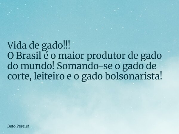 Vida de gado!!! O Brasil é o maior produtor de gado do mundo! Somando-se o gado de corte, leiteiro e o gado bolsonarista!... Frase de Beto Pereira.