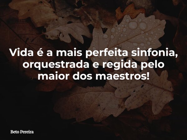 Vida é a mais perfeita sinfonia, orquestrada e regida pelo maior dos maestros!... Frase de Beto Pereira.