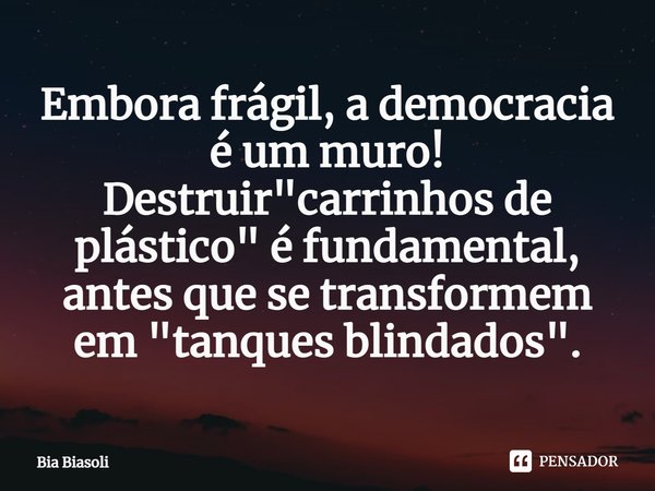 Embora frágil, a democracia é um muro! Destruir "carrinhos de plástico" é fundamental, antes que se transformem em "tanques blindados".... Frase de Bia Biasoli.