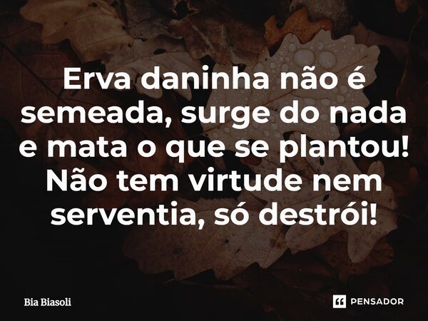 Erva daninha não é semeada, surge do nada e mata o que se plantou! Não tem virtude nem serventia, só destrói!... Frase de Bia Biasoli.