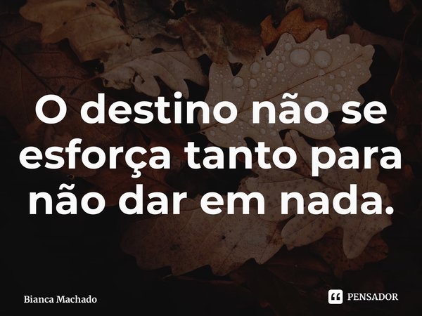 O destino não se esforça tanto para não dar em nada.... Frase de Bianca Machado.