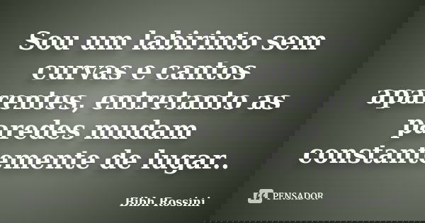 Sou um labirinto sem curvas e cantos aparentes, entretanto as paredes mudam constantemente de lugar..... Frase de Bibh Rossini.