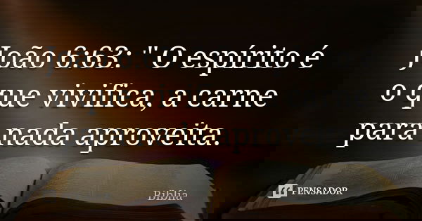 João 6:63: " O espírito é o que vivifica, a carne para nada aproveita.... Frase de biblia.