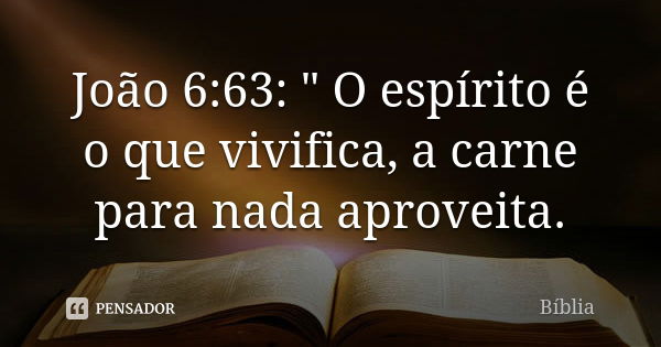 João 6:63: " O espírito é o que vivifica, a carne para nada aproveita.... Frase de biblia.