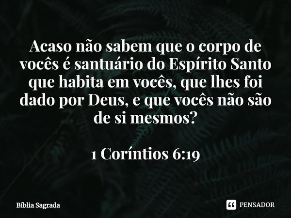 Acaso não sabem que o corpo de vocês é santuário do Espírito Santo que habita em vocês, que lhes foi dado por Deus, e que vocês não são de si mesmos? 1 Coríntio... Frase de Bíblia Sagrada.