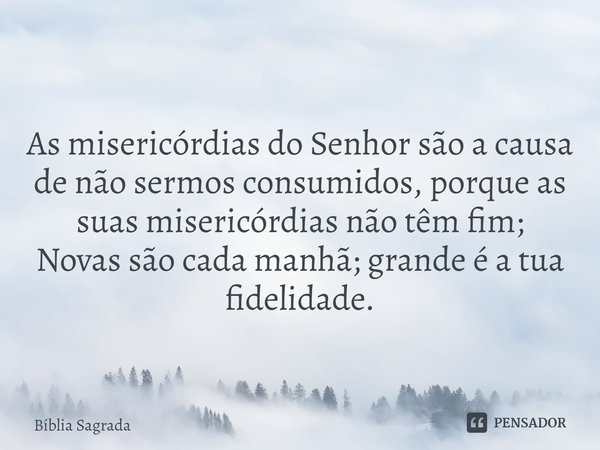 As misericórdias do Senhor são a causa de não sermos consumidos, porque as suas misericórdias não têm fim; Novas são cada manhã; grande é a tua fidelidade.... Frase de Bíblia Sagrada.