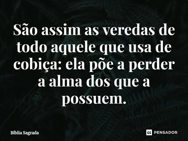 São assim as veredas de todo aquele que usa de cobiça: ela põe a perder a alma dos que a possuem.... Frase de Bíblia Sagrada.