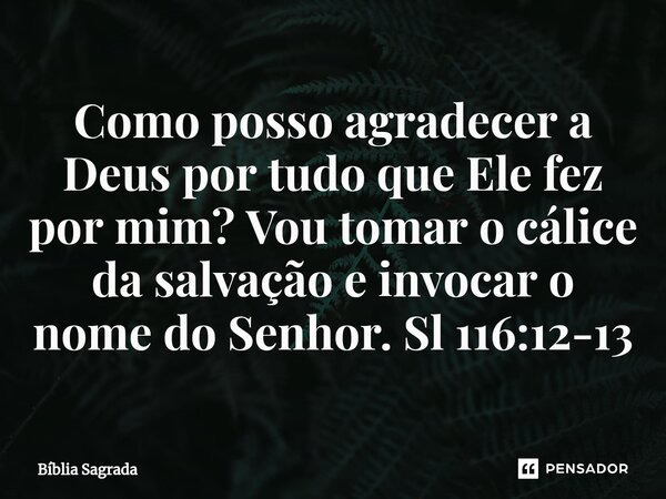⁠Como posso agradecer a Deus por tudo que Ele fez por mim? Vou tomar o cálice da salvação e invocar o nome do Senhor. Sl 116:12-13... Frase de Bíblia Sagrada.