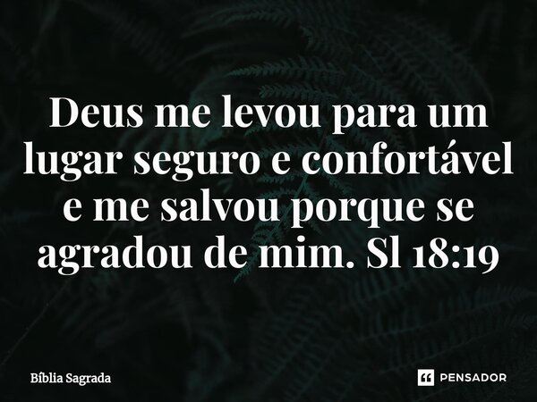 ⁠Deus me levou para um lugar seguro e confortável e me salvou porque se agradou de mim. Sl 18:19... Frase de Bíblia Sagrada.