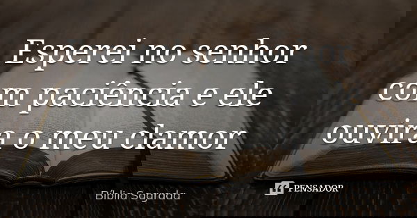 Esperei no senhor com paciência e ele ouvira o meu clamor... Frase de Bíblia sagrada.