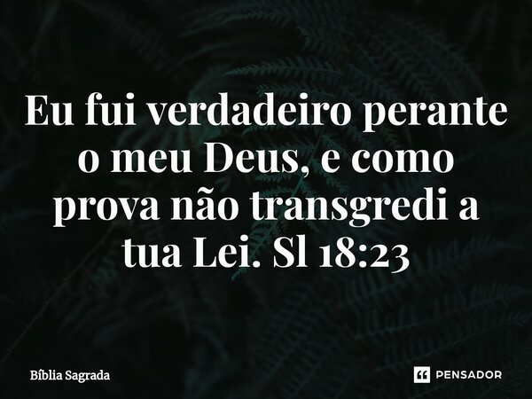 ⁠Eu fui verdadeiro perante o meu Deus, e como prova não transgredi a tua Lei. Sl 18:23... Frase de Bíblia Sagrada.