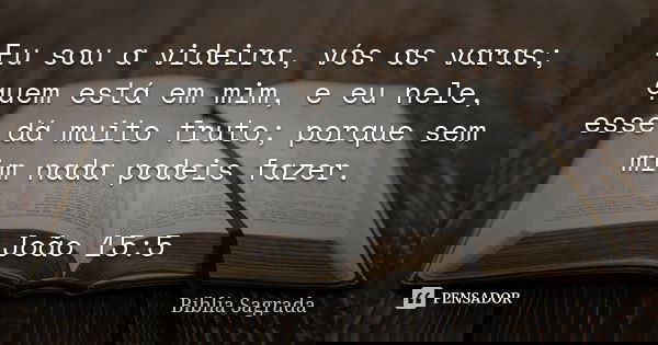 Eu sou a videira, vós as varas; quem está em mim, e eu nele, esse dá muito fruto; porque sem mim nada podeis fazer. João 15:5... Frase de Bíblia Sagrada.