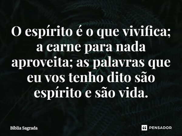 O espírito é o que vivifica; a carne para nada aproveita; as palavras que eu vos tenho dito são espírito e são vida.... Frase de Bíblia Sagrada.