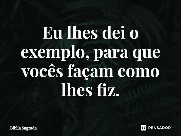 Eu lhes dei o exemplo, para que vocês façam como lhes fiz.... Frase de Bíblia Sagrada.