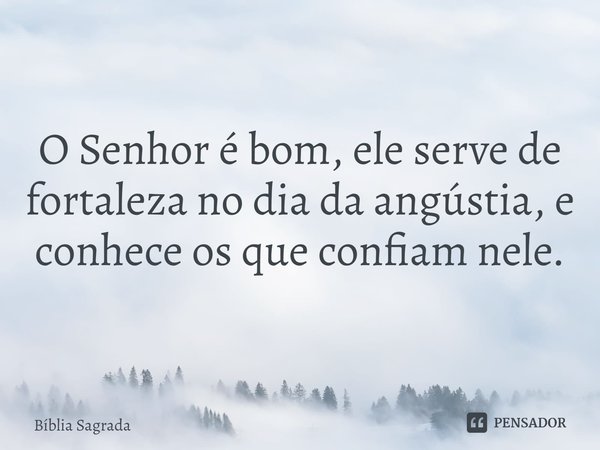 O Senhor é bom, ele serve de fortaleza no dia da angústia, e conhece os que confiam nele.... Frase de Bíblia Sagrada.