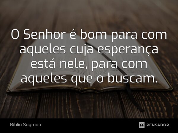 O Senhor é bom para com aqueles cuja esperança está nele, para com aqueles que o buscam.... Frase de Bíblia Sagrada.