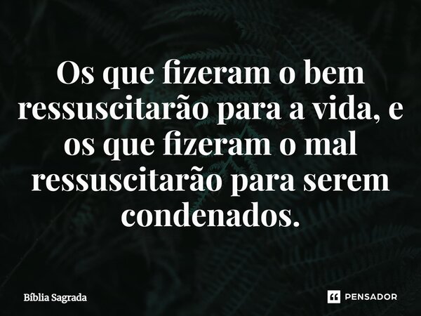Os que fizeram o bem ressuscitarão para a vida, e os que fizeram o mal ressuscitarão para serem condenados.... Frase de Bíblia Sagrada.