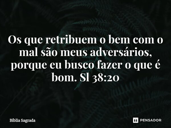⁠Os que retribuem o bem com o mal são meus adversários, porque eu busco fazer o que é bom. Sl 38:20... Frase de Bíblia Sagrada.