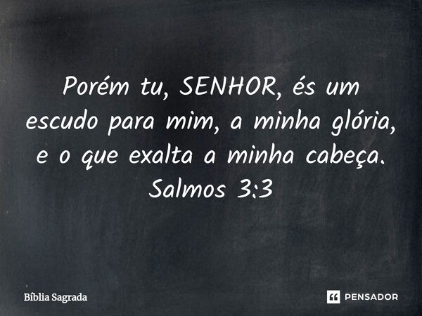 Porém tu, SENHOR, és um escudo para mim, a minha glória, e o que exalta a minha cabeça. Salmos 3:3... Frase de Bíblia Sagrada.