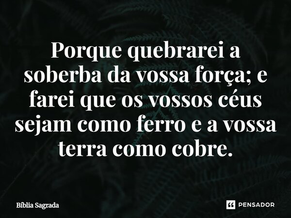 Porque quebrarei a soberba da vossa força; e farei que os vossos céus sejam como ferro e a vossa terra como cobre.... Frase de Bíblia Sagrada.
