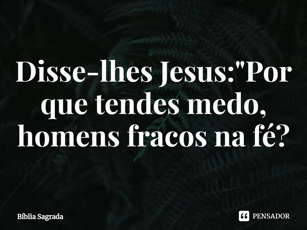 ⁠Disse-lhes Jesus: "Por que tendes medo, homens fracos na fé?... Frase de Bíblia Sagrada.