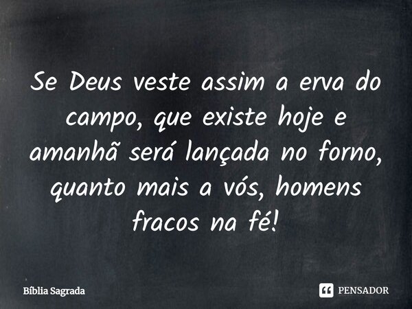 ⁠Se Deus veste assim a erva do campo, que existe hoje e amanhã será lançada no forno, quanto mais a vós, homens fracos na fé!... Frase de Bíblia Sagrada.