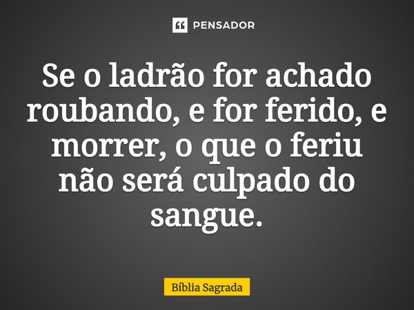 Se o ladrão for achado roubando, e for ferido, e morrer, o que o feriu não será culpado do sangue.... Frase de Bíblia Sagrada.