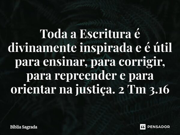 ⁠Toda a Escritura é divinamente inspirada e é útil para ensinar, para corrigir, para repreender e para orientar na justiça. 2 Tm 3.16... Frase de Bíblia Sagrada.