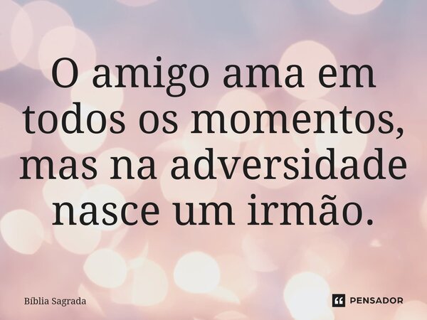 O amigo ama em todos os momentos, mas na adversidade nasce um irmão.... Frase de Bíblia Sagrada.