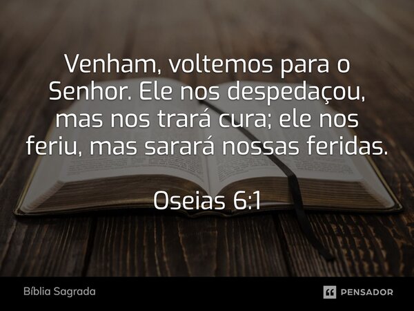 Venham, voltemos para o Senhor. Ele nos despedaçou, mas nos trará cura; ele nos feriu, mas sarará nossas feridas. Oseias 6:1... Frase de Bíblia Sagrada.