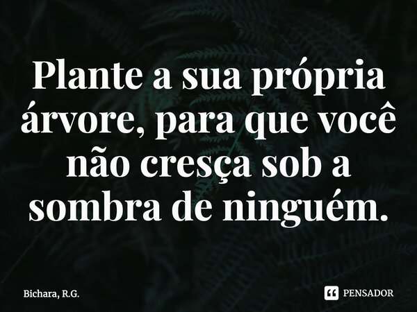 Plante a sua própria árvore, para que você não cresça sob a sombra de ninguém.... Frase de Bichara, R.G..
