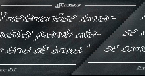 "A metamorfose tornar-se invisível, quando olha-se como larva de bruxa."... Frase de Bichara, R.G..
