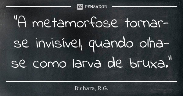 "A metamorfose tornar-se invisível, quando olha-se como larva de bruxa."... Frase de Bichara, R.G..