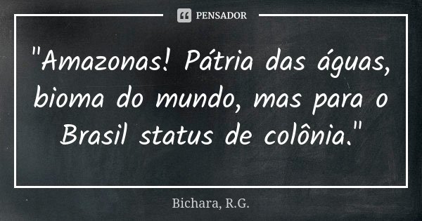 "Amazonas! Pátria das águas, bioma do mundo, mas para o Brasil status de colônia."... Frase de Bichara, R.G..