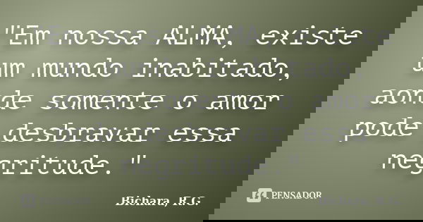 "Em nossa ALMA, existe um mundo inabitado, aonde somente o amor pode desbravar essa negritude."... Frase de Bichara, R. G..