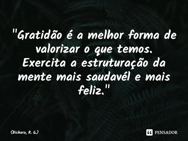 ⁠"Gratidão é a melhor forma de valorizar o que temos. Exercita a estruturação da mente mais saudavél e mais feliz."... Frase de Bichara, R. G..