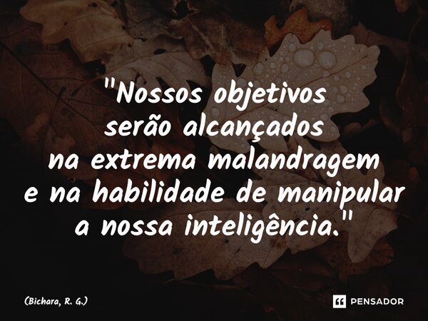⁠"Nossos objetivos serão alcançados na extrema malandragem e na habilidade de manipular a nossa inteligência."... Frase de Bichara, R. G..