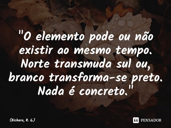 ⁠"O elemento pode ou não existir ao mesmo tempo. Norte transmuda sul ou, branco transforma-se preto. Nada é concreto."... Frase de Bichara, R. G..