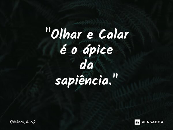 ⁠"Olhar e Calar é o ápice da sapiência."... Frase de Bichara, R. G..
