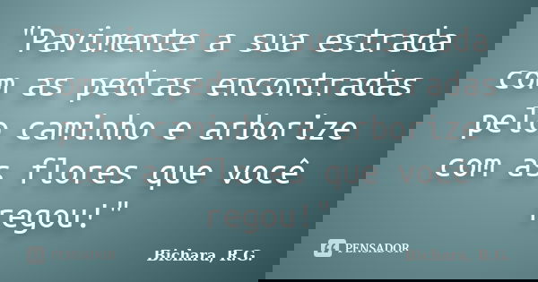 "Pavimente a sua estrada com as pedras encontradas pelo caminho e arborize com as flores que você regou!"... Frase de Bichara, R. G..
