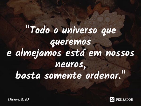 ⁠"Todo o universo que queremos e almejamos está em nossos neuros, basta somente ordenar."... Frase de Bichara, R. G..