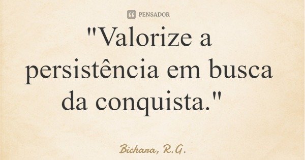 "Valorize a persistência em busca da conquista."... Frase de Bichara, R.G..