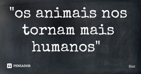 "os animais nos tornam mais humanos"... Frase de Biel.