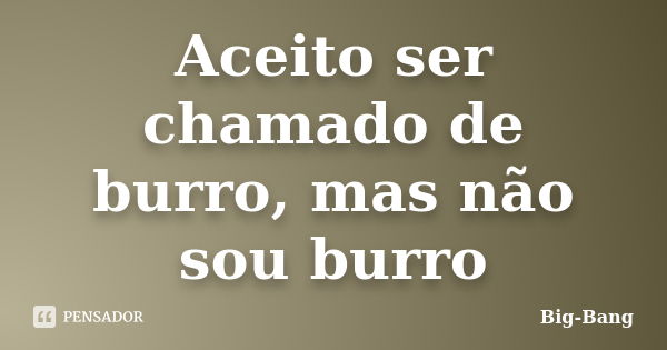 Aceito ser chamado de burro, mas não sou burro... Frase de Big-Bang.