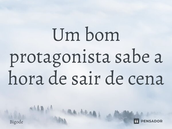 ⁠Um bom protagonista sabe a hora de sair de cena... Frase de Bigode.